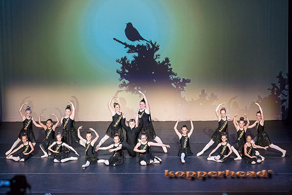 24718 06 2018 Kopperhead