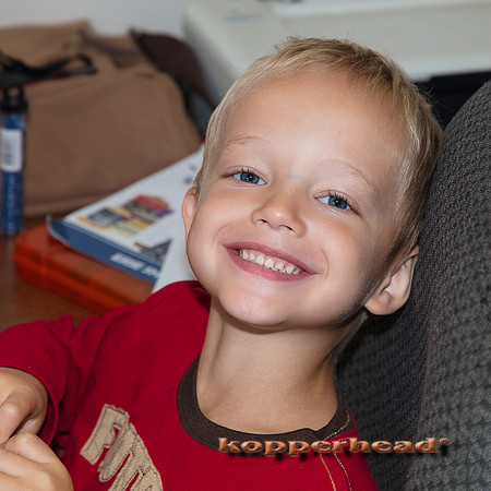 30897 09 2018 Kopperhead