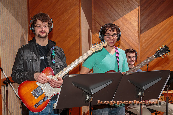 18196 04 2014 Kopperhead