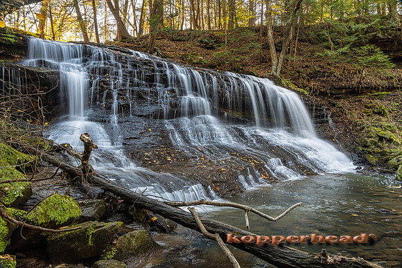 20119LR 11 2021 Kopperhead