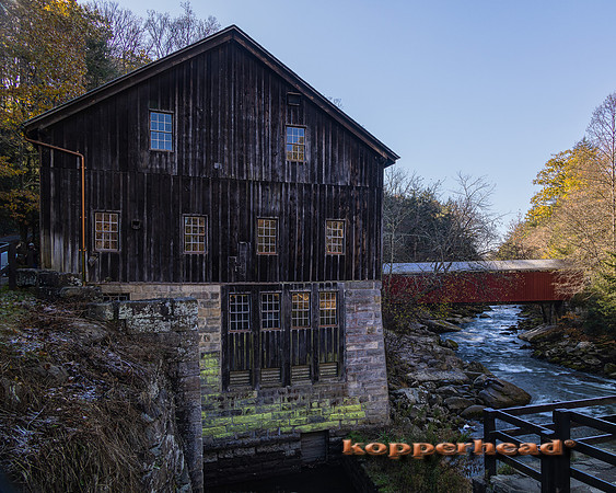 20008LR 11 2021 Kopperhead