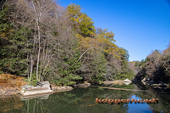 20014 11 2021 Kopperhead