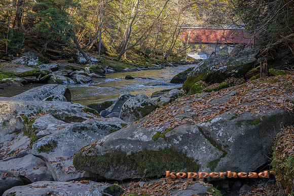 20030 11 2021 Kopperhead