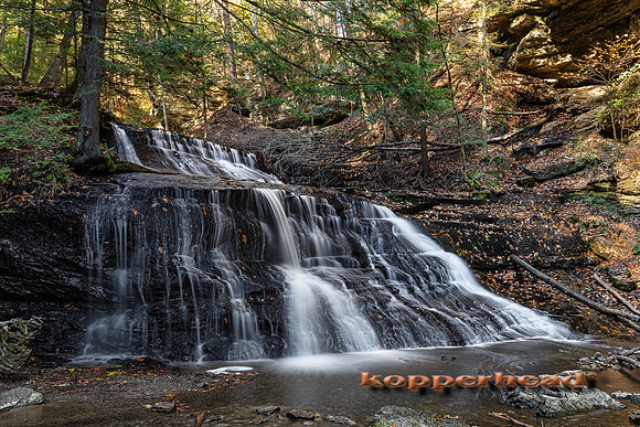 06924LR 11 2021 Kopperhead