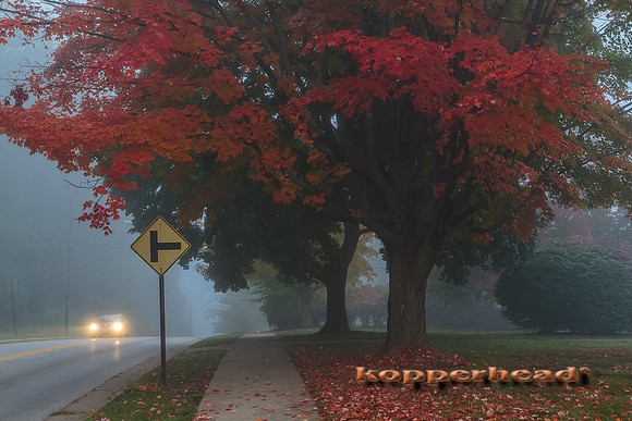 26541 10 2014 Kopperhead