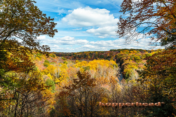 27027 10 2014 Kopperhead