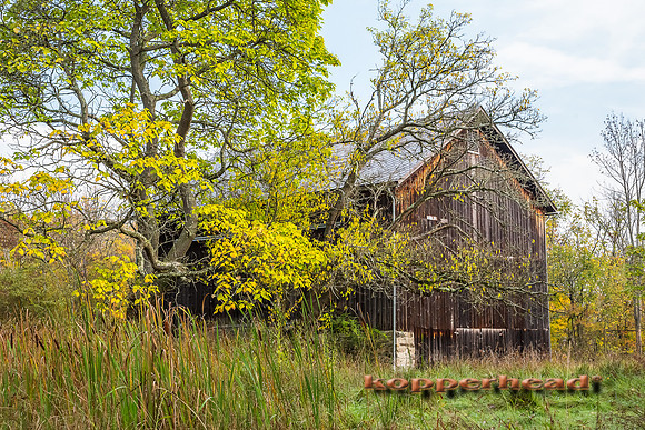12175 10 2013 Kopperhead
