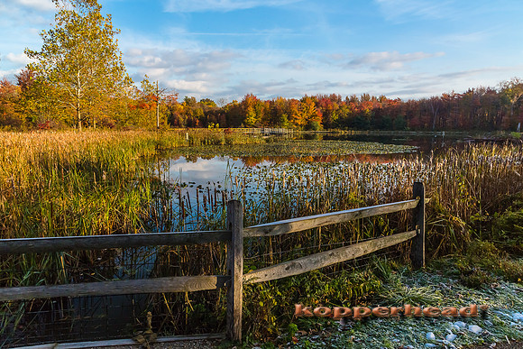 13153 10 2013 Kopperhead