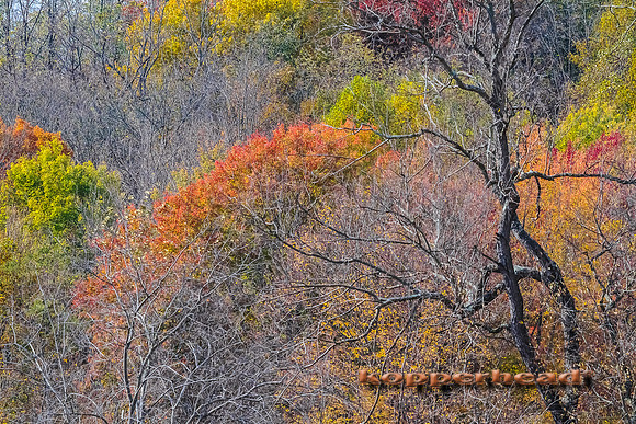 63687 10 2013 Kopperhead