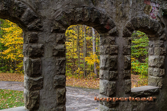 26787 10 2014 Kopperhead