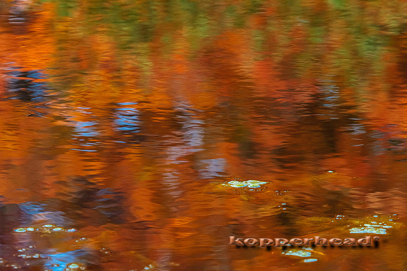 65915 10 2014 Kopperhead