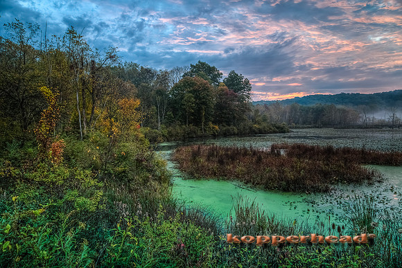 12040h 10 2013 Kopperhead