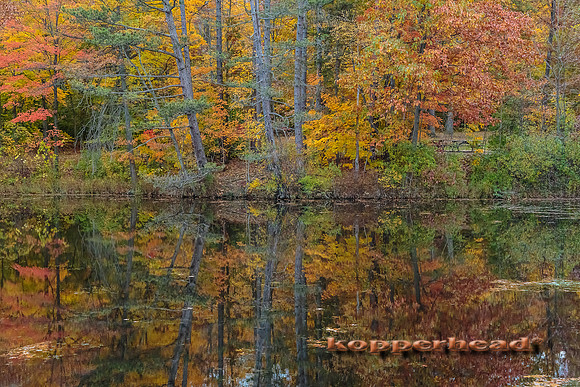 26700 10 2014 Kopperhead