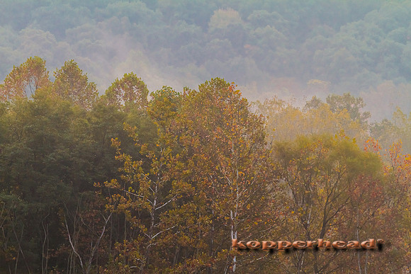 63457 10 2013 Kopperhead