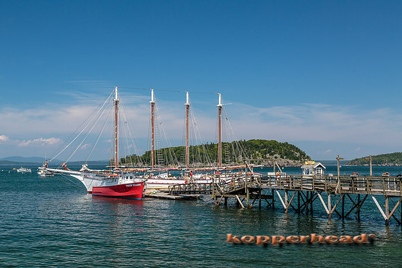 23526 07 2014 Kopperhead