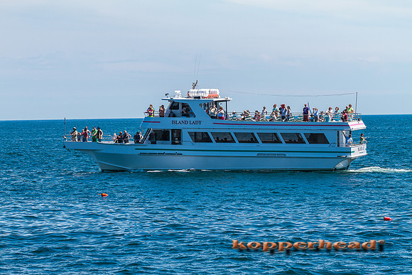 64891 07 2014 Kopperhead