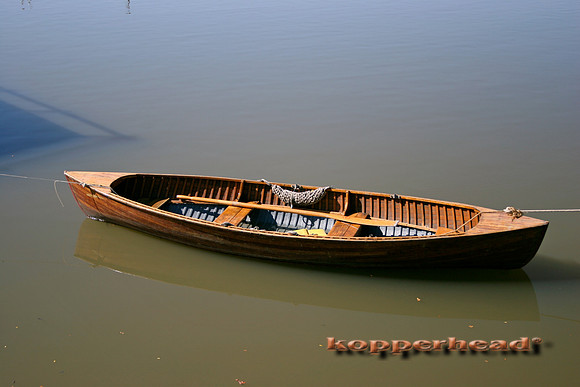 0414x 09 2004 Kopperhead