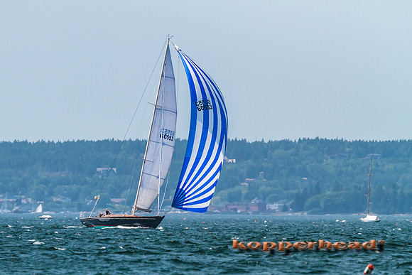 65235 07 2014 Kopperhead