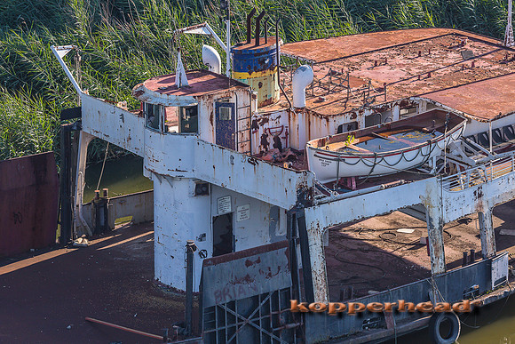 40336 08 2015 Kopperhead