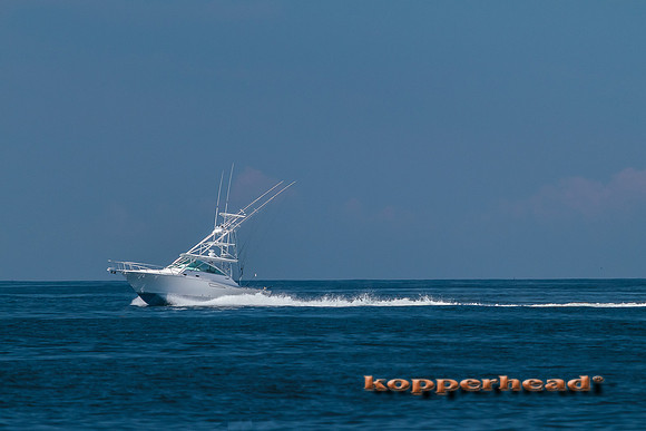 65101 07 2014 Kopperhead
