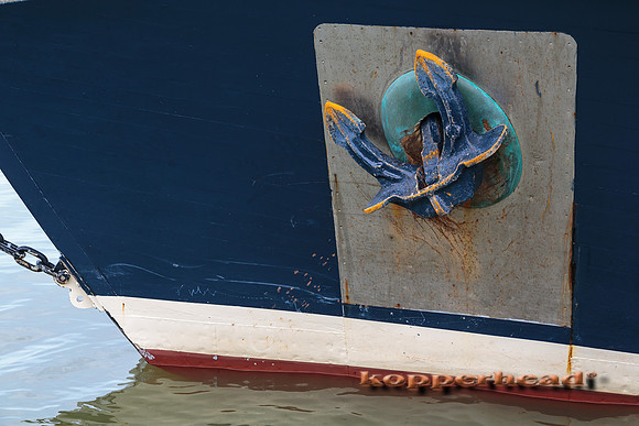 05540 07 2013 Kopperhead