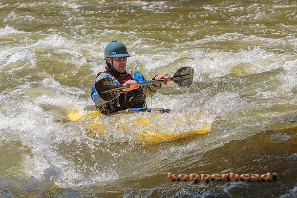 01426 04 2013 Kopperhead