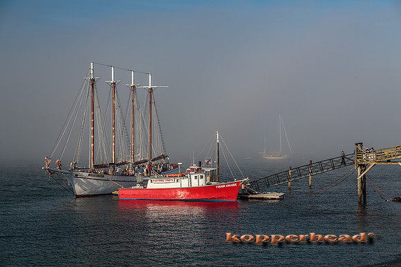 23585 07 2014 Kopperhead