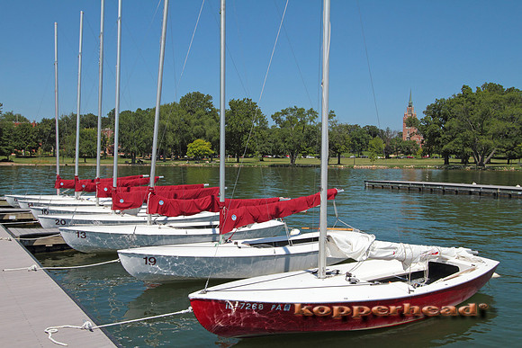08815x 07 2010 Kopperhead