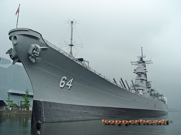 9234x 07 2004 Kopperhead