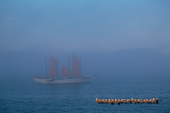 23625 07 2014 Kopperhead