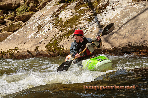 01399 04 2013 Kopperhead