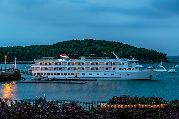 23357 07 2014 Kopperhead