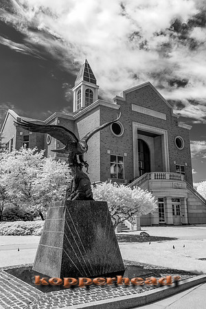 69647ir 07 2016 Kopperhead