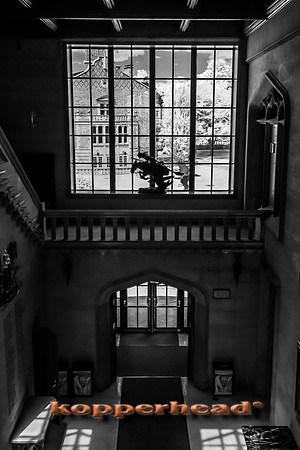 69662ir 07 2016 Kopperhead
