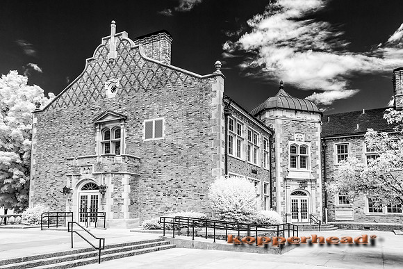 69672ir 07 2016 Kopperhead