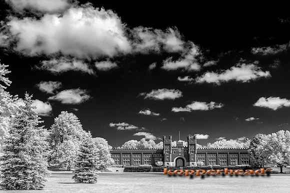 69640ir 07 2016 Kopperhead