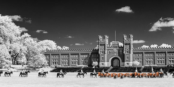 69622ir 07 2016 Kopperhead