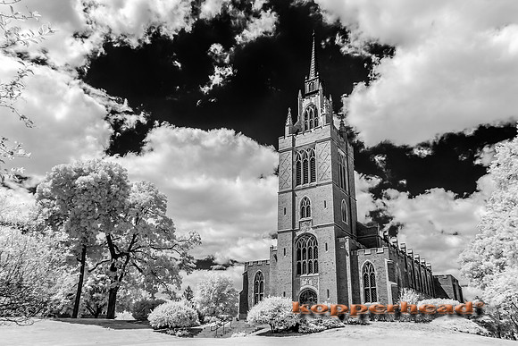 69681ir 07 2016 Kopperhead