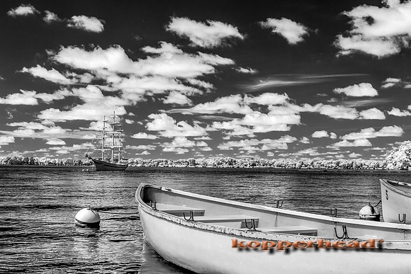 69633ir 07 2016 Kopperhead
