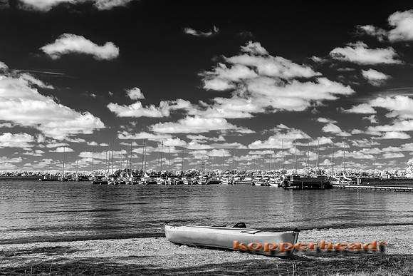 69628ir 07 2016 Kopperhead