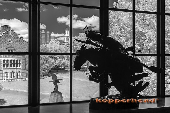 69652ir 07 2016 Kopperhead