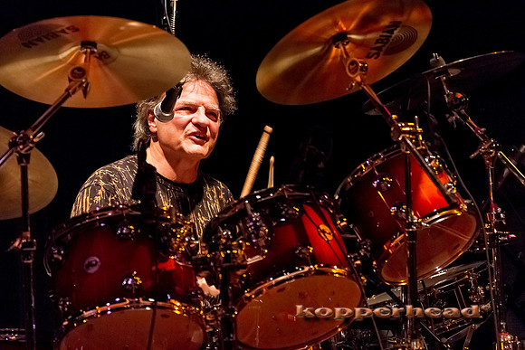 59809 02 2013 Kopperhead
