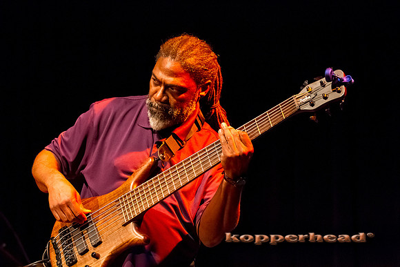 58952 02 2013 Kopperhead