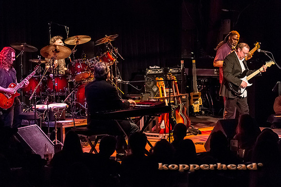 59617 02 2013 Kopperhead