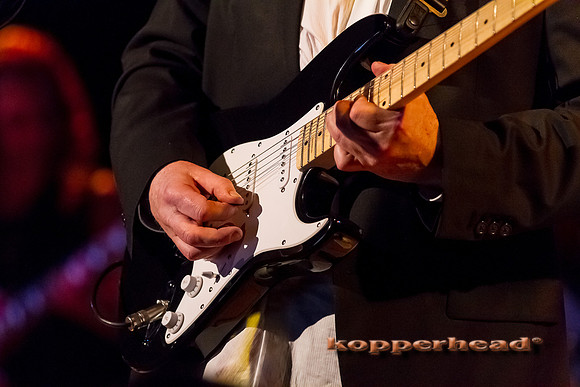 60430 02 2013 Kopperhead