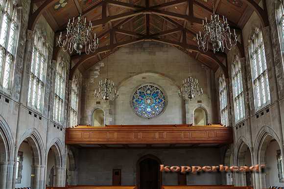 39173 07 2015 Kopperhead