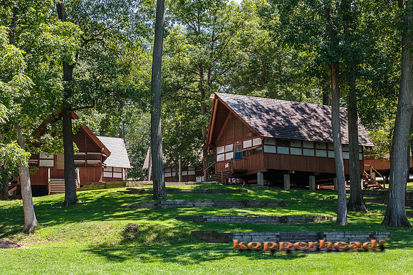 39372 07 2015 Kopperhead