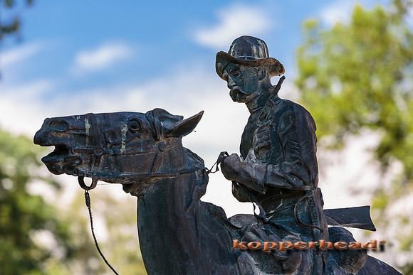 39393 07 2015 Kopperhead