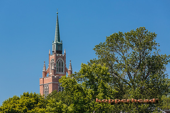 39379 07 2015 Kopperhead