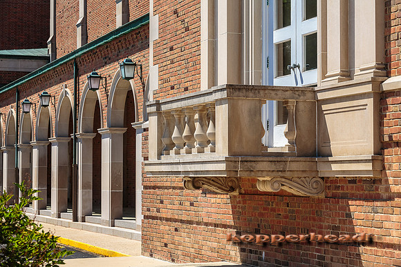 39463 07 2015 Kopperhead